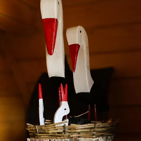 Aparthotel Busko Staryy Mizun